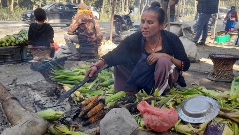 राजमार्ग छेउमा मकै पोलेरै जिविका