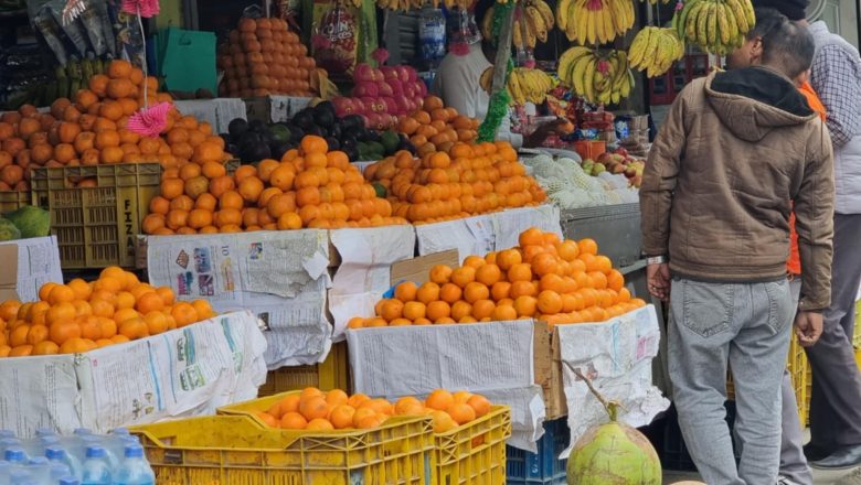 सुन्तला उत्पादन घटेपनि मूल्य वृद्धि हुँदा किसान उत्साहित