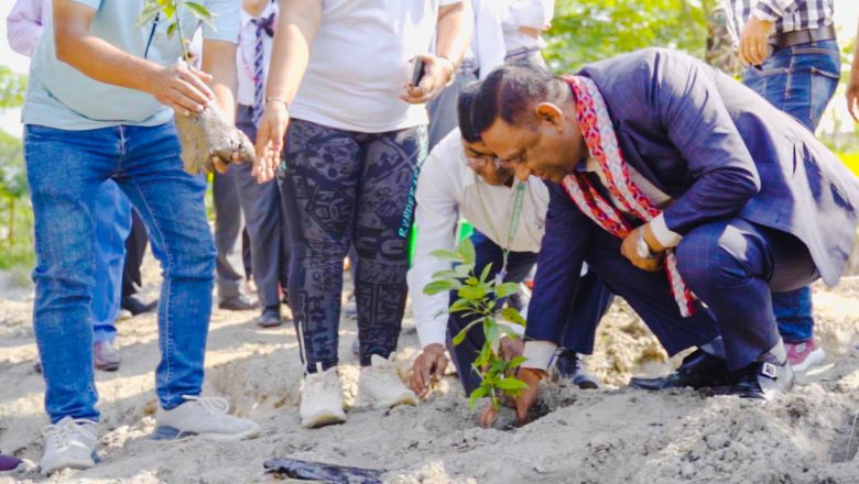 BYD Plants 1500 trees under “Building Dreams & Forest”