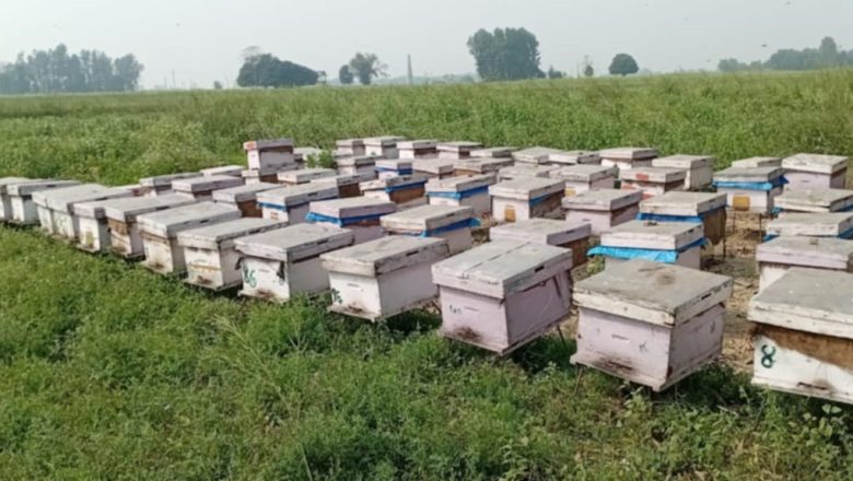 मह आयात रोक्न माग