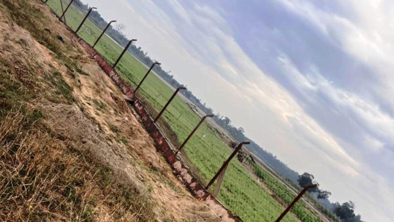 जङ्गली जनावरको आतङ्क रोक्न तारजाली जडान गरिँदै