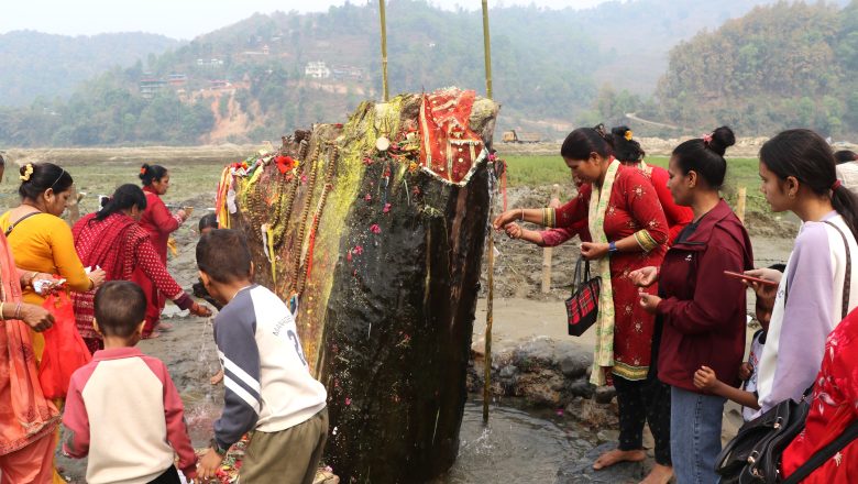 रूखको ठुटोबाट पानी आएको भन्दै स्थानीय चकित