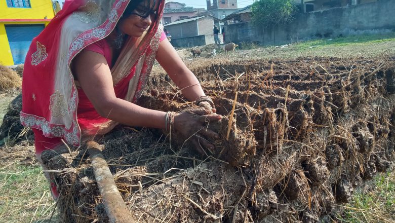 बर्खायामको इन्धन ‘गुइँठा’ को जोहो हिउँदमै