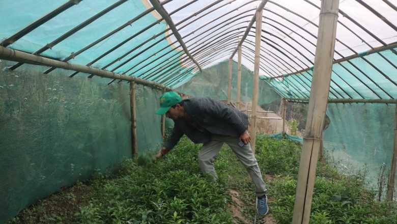 भोजपुरको वैकुन्ठेमा सुन्तला, कागती फलफूल सिकाइ केन्द्र स्थापना