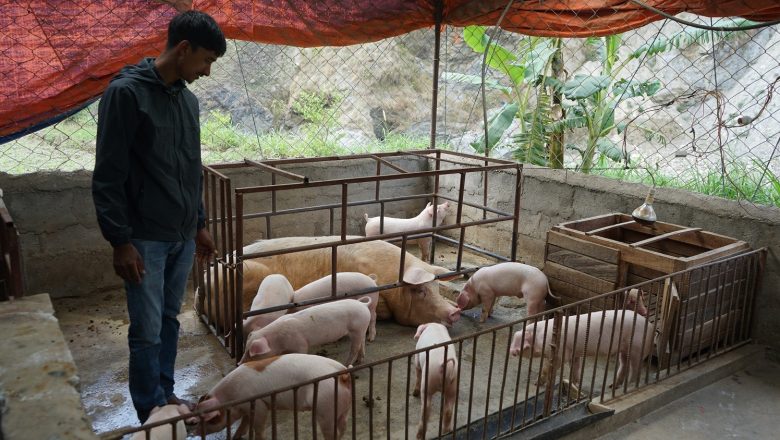 बङ्गुर पालेर स्वरोजगार र आत्मनिर्भर