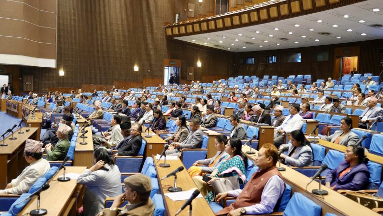 संसद्को हिउँदे अधिवेशन उपलब्धिपूर्ण : प्रमुख सचेतक