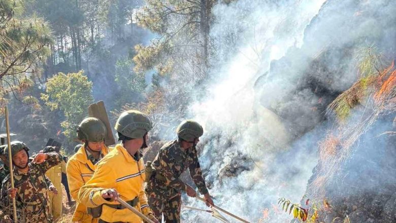 पाल्पामा डढेलोले सखाप हुँदै जङ्गल