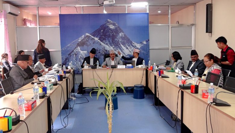 नीति तथा कार्यक्रममा समावेश गर्नुपर्ने विषयमा संसदीय समितिको सुझाव