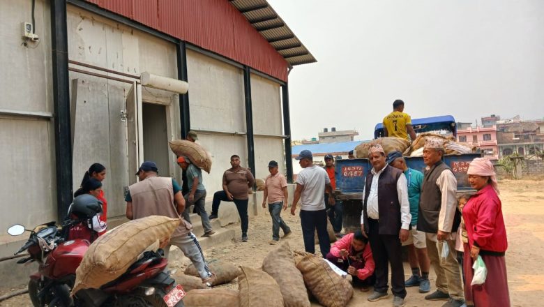 प्रयोगमा आयो शीतभण्डार, धमाधम आलु भण्डारण गरिँदै