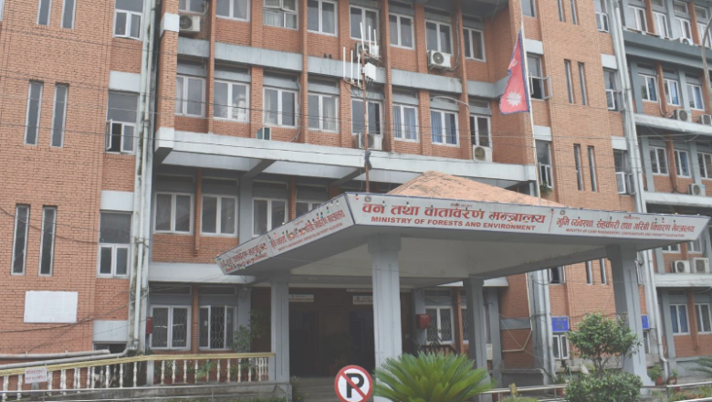 आगामी आवको बजेटमा यस्ता छन् वन मन्त्रालयका नयाँ कार्यक्रम