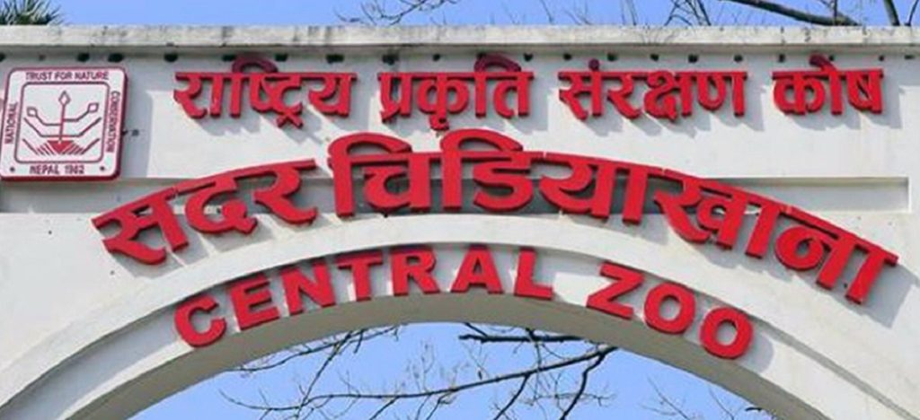 बर्डफ्लु संक्रमण लुकाएको आरोपमा चिडियाखाना प्रमुख साह छानबिनमा